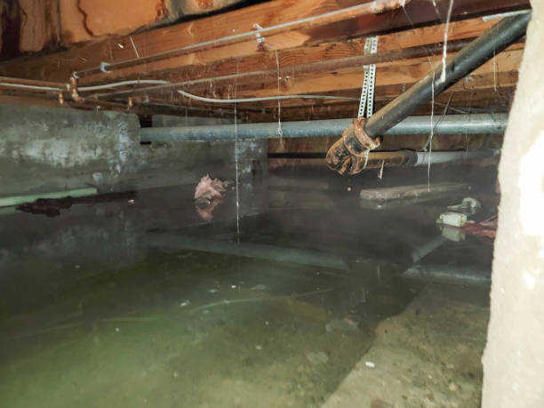 Best Local water damage restoration  in Midwest City, OK